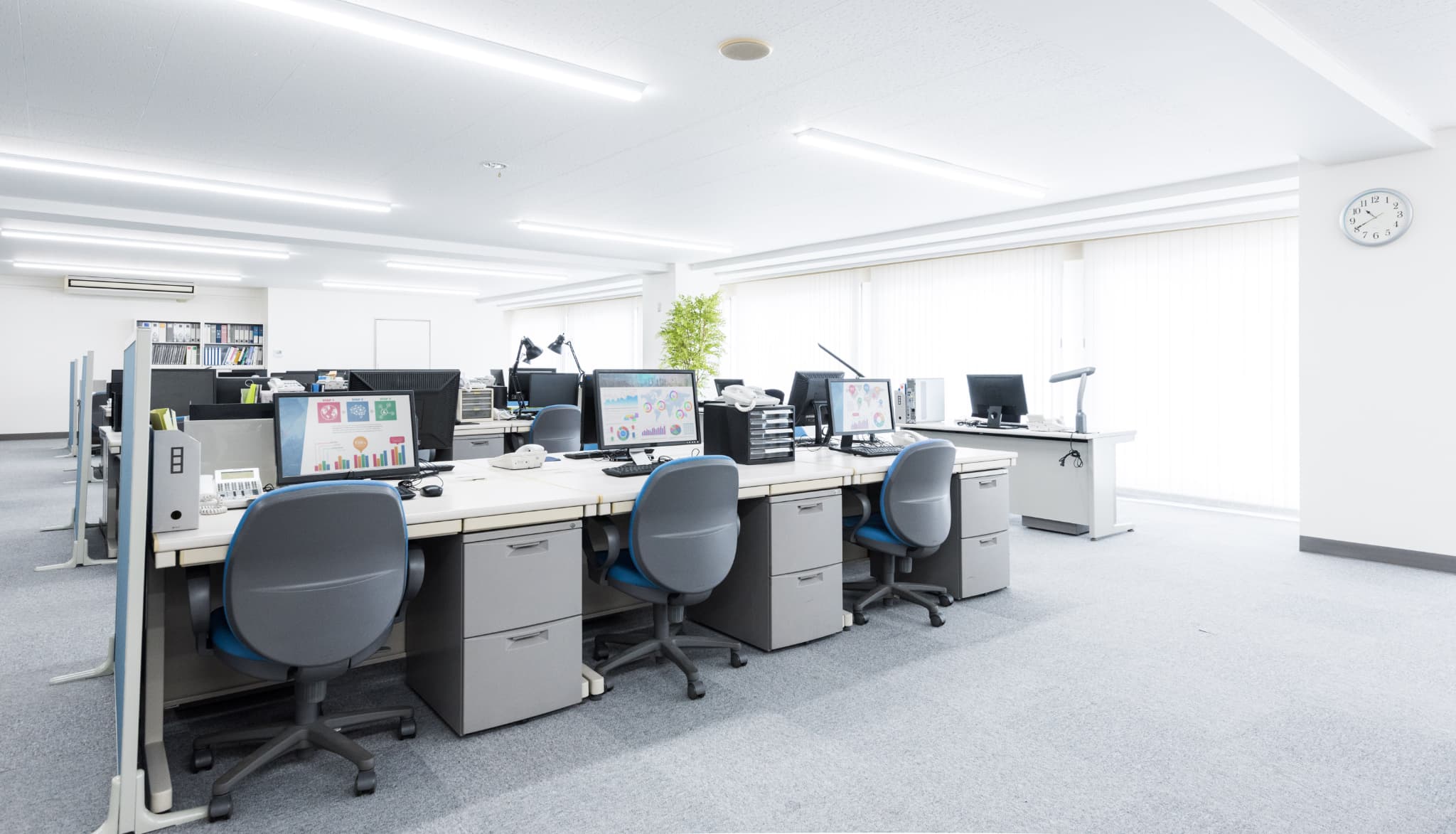 募集要項の画像